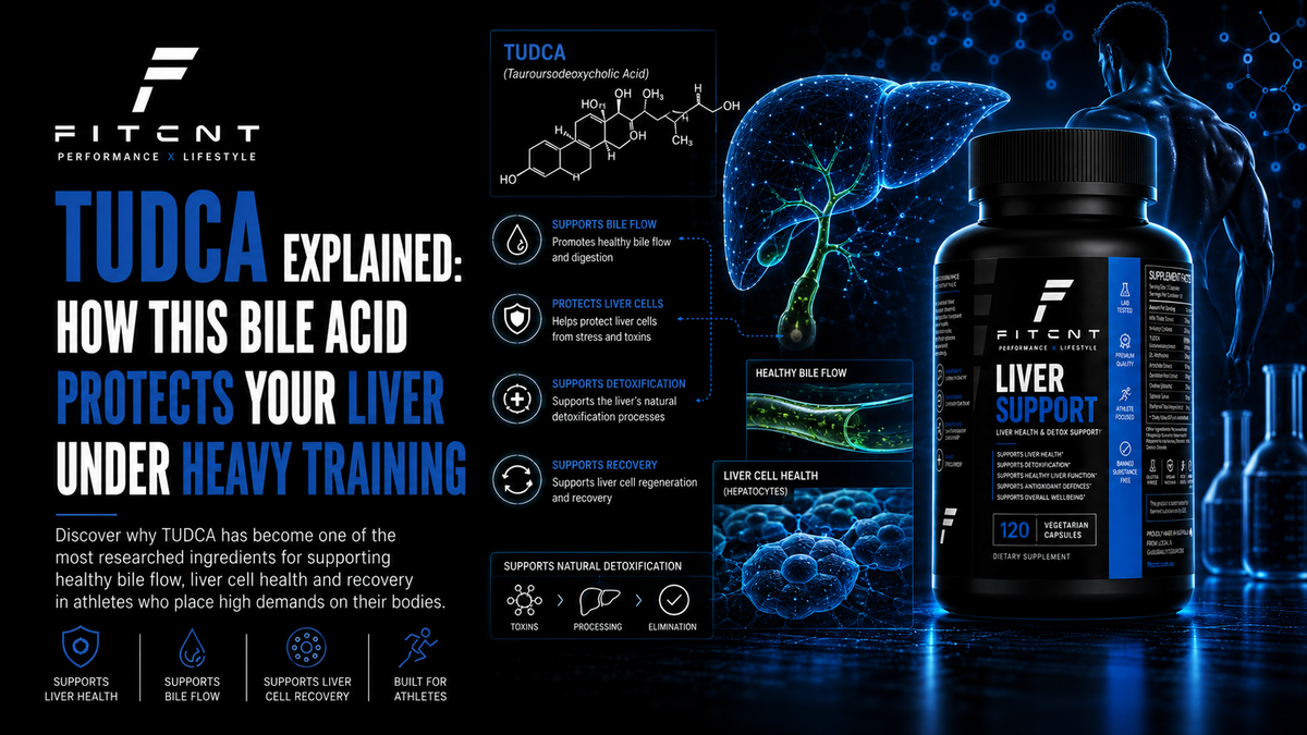TUDCA Explained: How This Bile Acid Protects Your Liver Under Heavy Training
